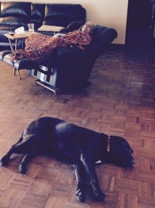 My dad napping in his recliner with ever-present Beau napping nearby
