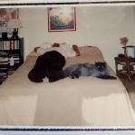 roy blanchard napping