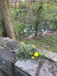 IMG_1041