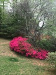 IMG_1140